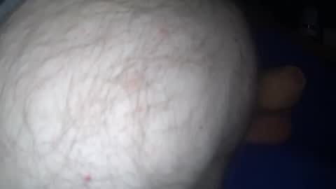 Harry 13 online show from November 15, 2025, 2:57 pm