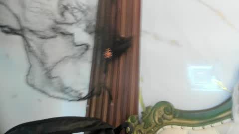 Coralie Bronson online show from October 28, 2025, 8:44 pm