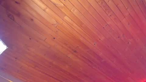 Coraline online show from January 18, 2025, 1:19 am