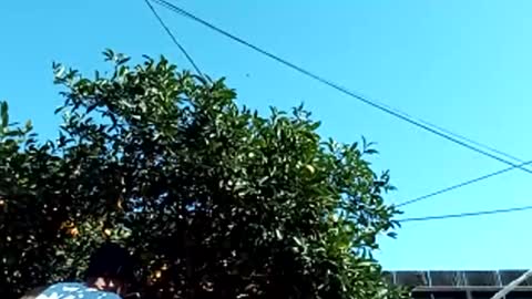 corpusrichard78 online show from March 3, 2025, 6:55 pm