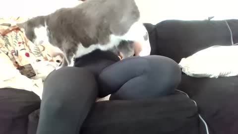 courtxoxo_o online show from February 20, 2025, 9:31 pm