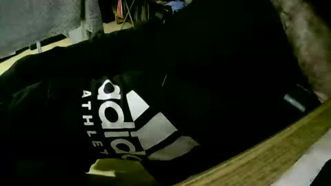 Snapshot of coyote017 chatting on January 24, 2025, 6:56 pm coyote017 online show from January 24, 2025, 6:56 pm