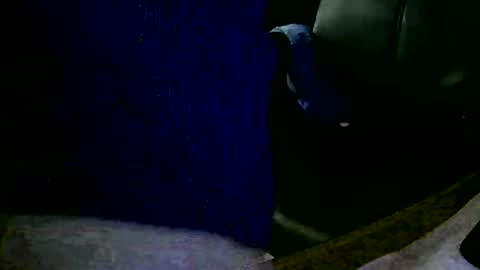 Snapshot of coyote017 chatting on January 31, 2025, 11:13 am coyote017 online show from January 31, 2025, 11:13 am