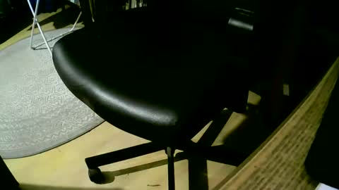 Snapshot of coyote017 chatting on February 25, 2025, 7:14 pm coyote017 online show from February 25, 2025, 7:14 pm