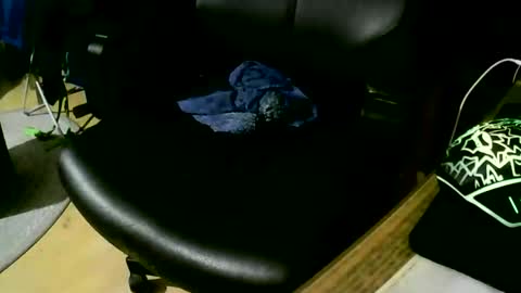 Snapshot of coyote017 chatting on November 17, 2025, 9:31 pm coyote017 online show from November 17, 2025, 9:31 pm