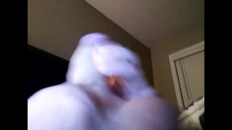 Snapshot of cranada777 chatting on February 24, 2025, 1:21 pm Cranada777 online show from February 24, 2025, 1:21 pm