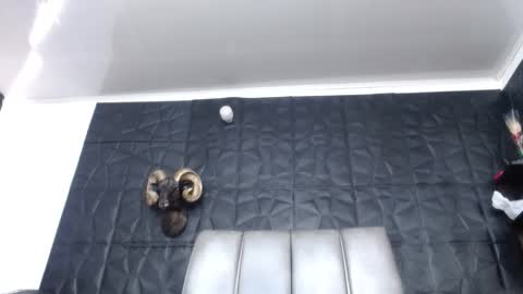 Hanna  online show from March 15, 2026, 2:01 pm