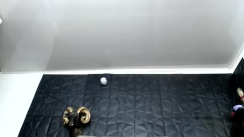 Snapshot of cristal_smith06 chatting on June 12, 2026, 7:07 am Hanna online show from June 12, 2026, 7:07 am