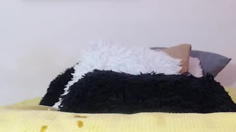 Snapshot of cristian_suarezz chatting on January 15, 2025, 1:45 am online show from January 15, 2025, 1:45 am