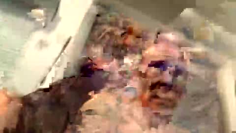 Snapshot of critterick6674 chatting on March 31, 2026, 11:27 pm critterick6674 online show from March 31, 2026, 11:27 pm