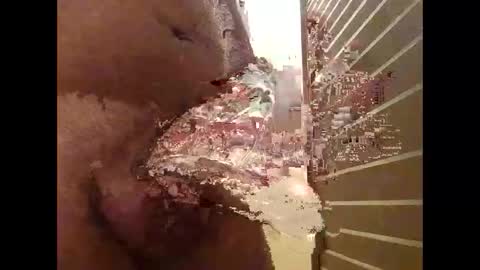 Snapshot of csunny37 chatting on January 6, 2026, 11:36 am csunny37 online show from January 6, 2026, 11:36 am