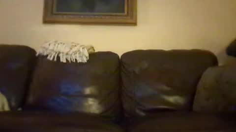 cubforotter online show from October 19, 2025, 10:16 am