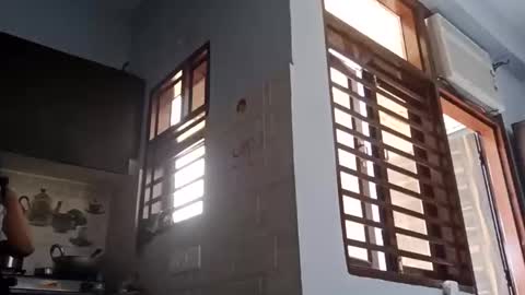 Snapshot of cuddlemuffins_3110 chatting on March 1, 2026, 5:42 am cuddlemuffins online show from March 1, 2026, 5:42 am