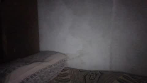 Snapshot of cum_l chatting on August 5, 2026, 8:06 am Noha online show from August 5, 2026, 8:06 am