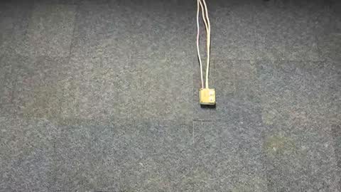 Brian online show from December 3, 2025, 7:01 pm