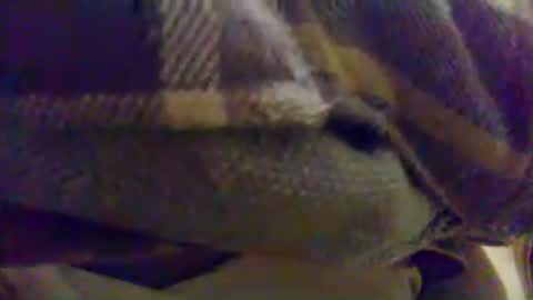cumtowa online show from June 17, 2026, 12:13 am