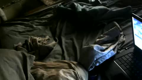 Snapshot of cumwith_me80 chatting on May 8, 2026, 7:46 am cumwith_me80 online show from May 8, 2026, 7:46 am