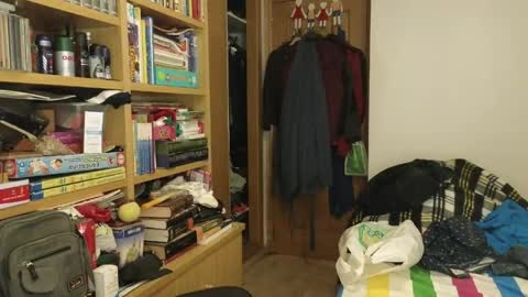 curiosillo1983 online show from April 19, 2026, 10:45 pm