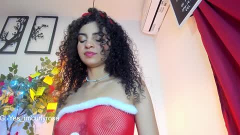 Rose online show from December 24, 2024, 11:55 pm