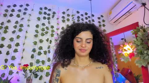 Rose online show from January 19, 2025, 3:08 am