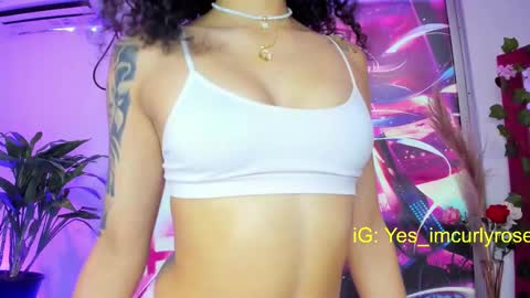 Rose online show from February 17, 2025, 9:08 pm