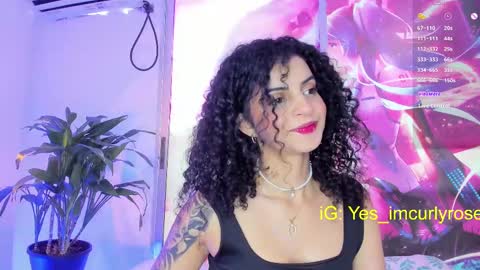 Rose online show from February 26, 2025, 8:44 pm
