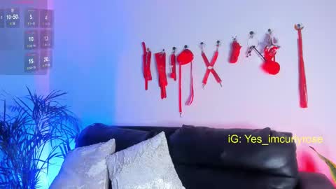 Rose online show from November 24, 2025, 11:26 pm