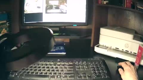 curvelovetool online show from April 20, 2026, 2:14 am