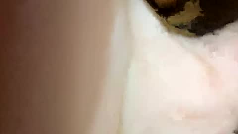 curvy24777 online show from February 15, 2025, 7:06 pm