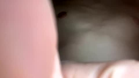 curvy24777 online show from February 23, 2025, 7:44 am