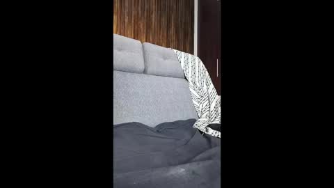 Im Jazmin online show from April 9, 2026, 6:19 am