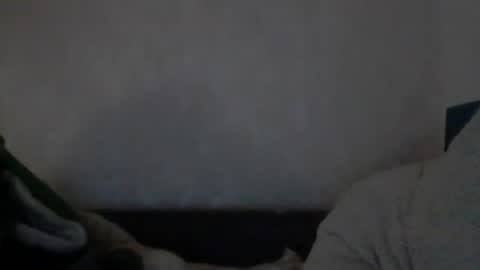 cutekattie online show from December 9, 2024, 8:00 am