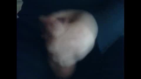 CutieBoy online show from October 31, 2025, 11:44 am