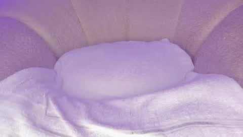 Hannah online show from December 2, 2025, 6:58 pm