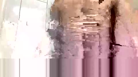 Snapshot of cvc2025 chatting on November 10, 2025, 12:20 am cvc2025 online show from November 10, 2025, 12:20 am