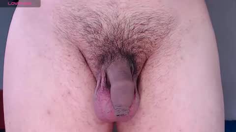 cyber online show from February 19, 2025, 3:27 pm