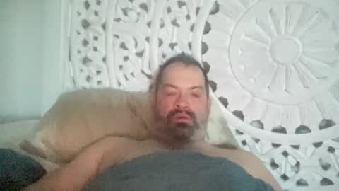 d4ddy858 online show from November 29, 2025, 1:03 pm