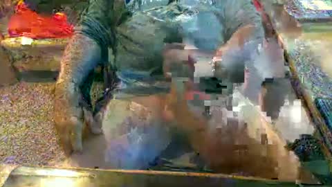 dabaatendae online show from January 12, 2025, 6:16 pm