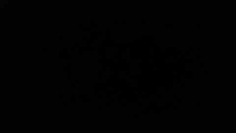 DDick online show from November 16, 2025, 8:20 am