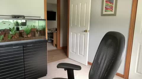 daddyweis online show from June 26, 2026, 1:59 pm