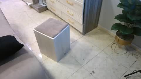 Deffa online show from February 23, 2025, 8:49 am