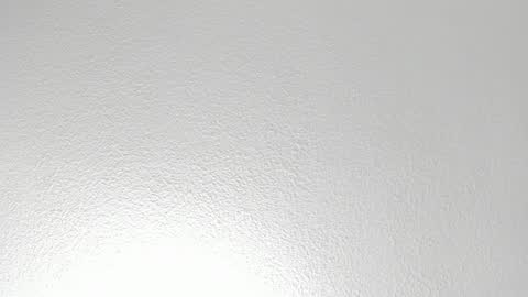 D A I S Y  online show from October 22, 2025, 12:05 pm