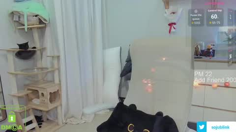 Daisy online show from March 24, 2026, 8:52 am