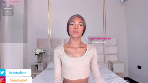 Daisy online show from November 17, 2025, 12:22 pm