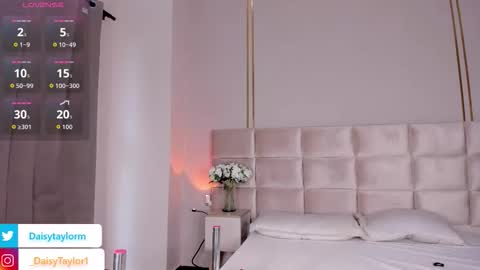 Daisy online show from November 19, 2025, 12:49 pm