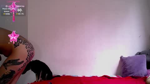 Dakota and Aron online show from December 5, 2024, 7:06 pm