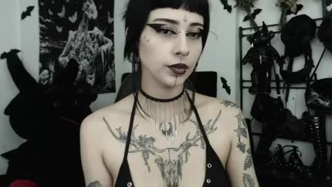 Snapshot of dakota_krall_ chatting on July 4, 2026, 2:29 am dakota online show from July 4, 2026, 2:29 am