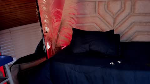 Dakota online show from December 28, 2024, 12:03 pm