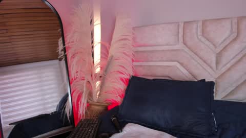 Dakota online show from December 31, 2024, 5:51 pm