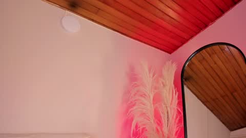 Dakota online show from January 28, 2025, 7:00 pm